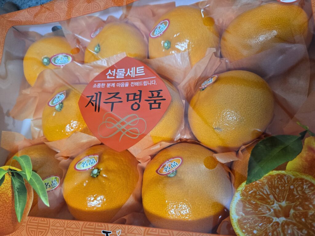 Freshly packed Jeju Cheonhyeryang oranges inside a box, showing their vibrant orange color and uniform size.