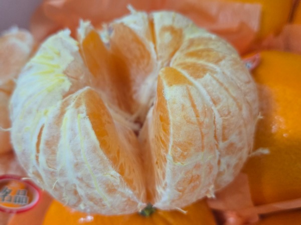 Close-up of a peeled Jeju Cheonhyeryang, revealing its juicy segments and thin skin.